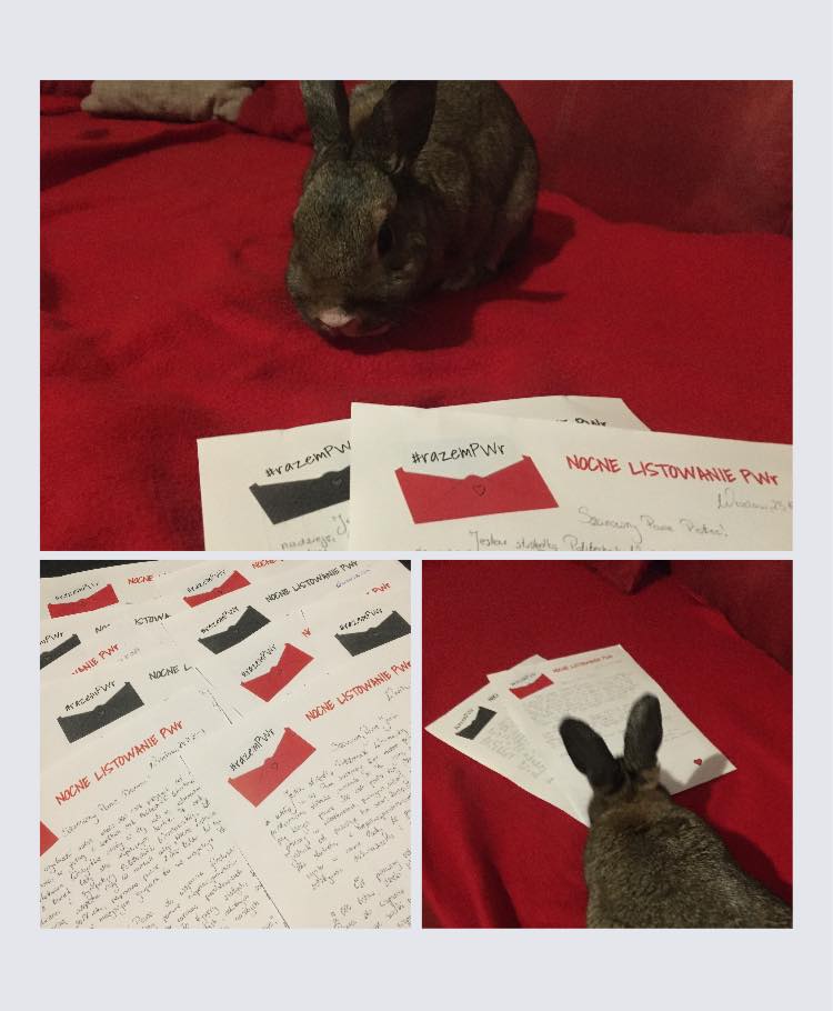 Listy napisane przez studentów i królik - zdjęcia