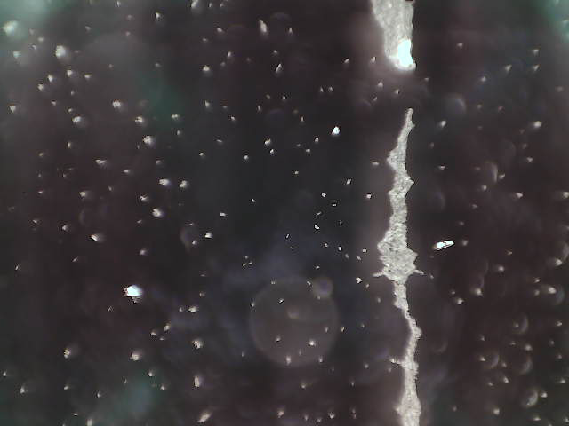 Zarodniki grzyba w  lab-chipie wysłane w kosmos - zdjęcie