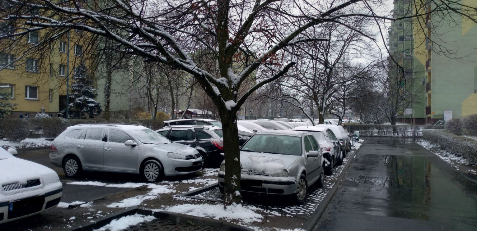 Zaparkowane auta we Wrocławiu