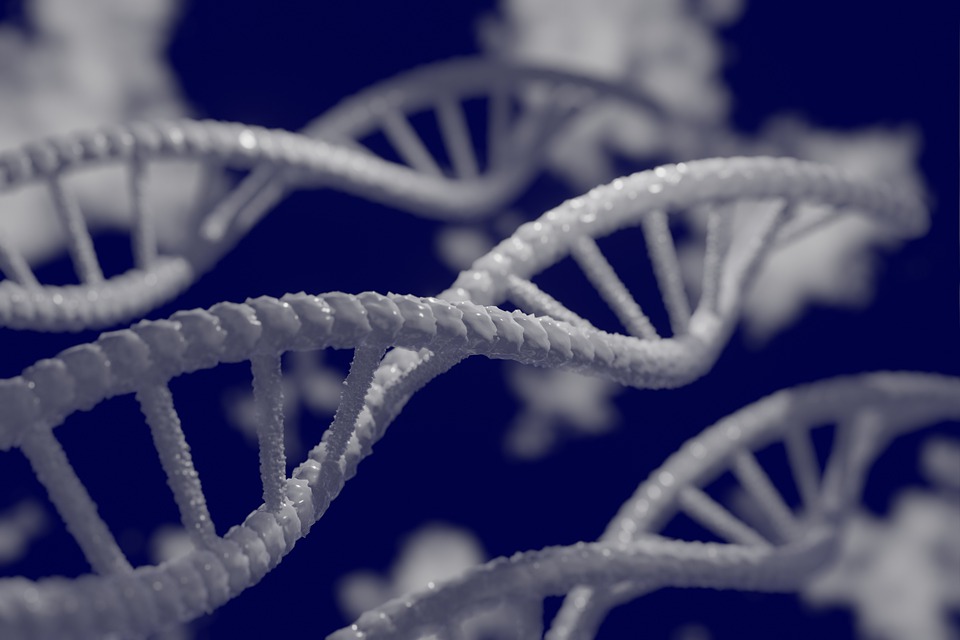 Projekt BioTechNan
