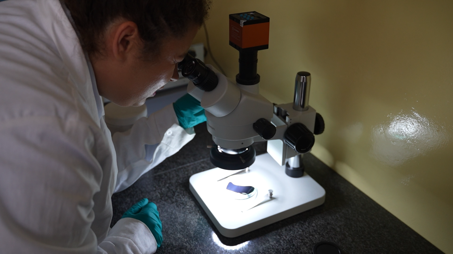 Prof. Siekierka w laboratorium
