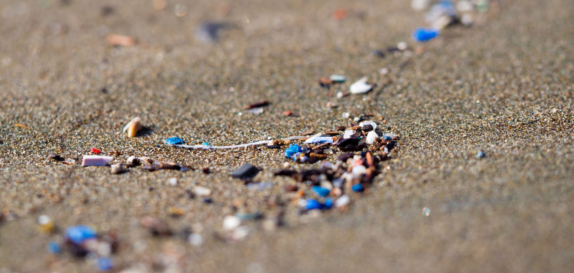 Cząsteczki plastiku wyrzucone na plażę przez wodę