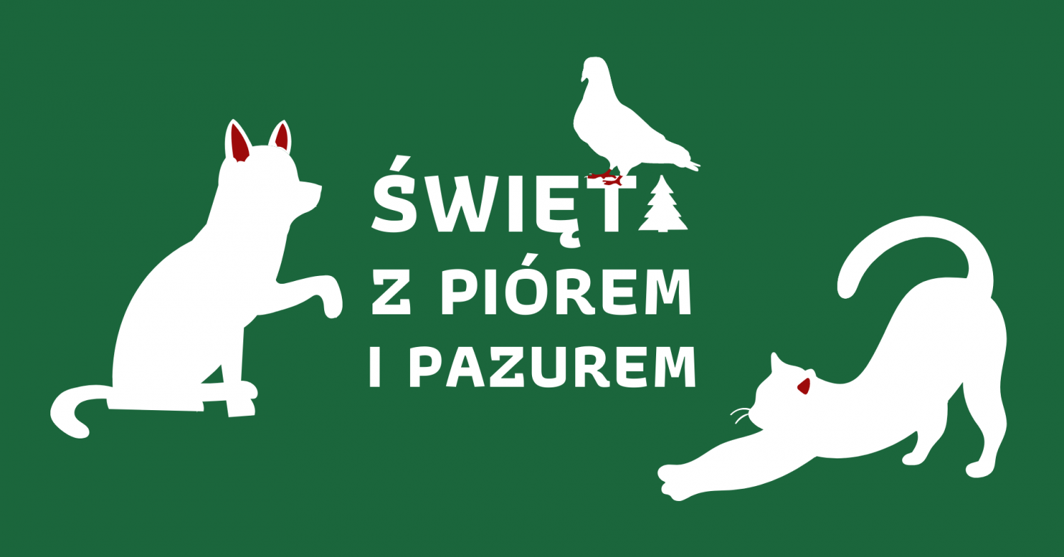 Swięta z piórem i pazurem