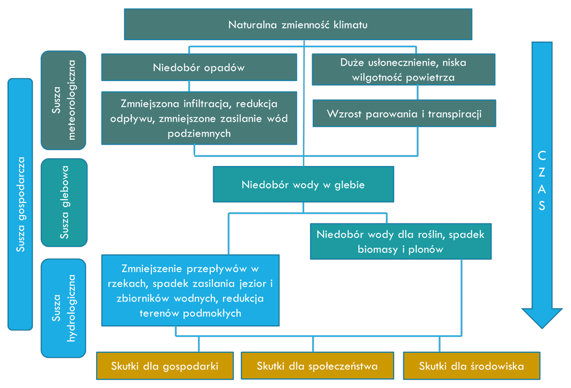 Grafika przedstawiająca zmiany w czasie oraz skutki na poszczególnych etapach suszy