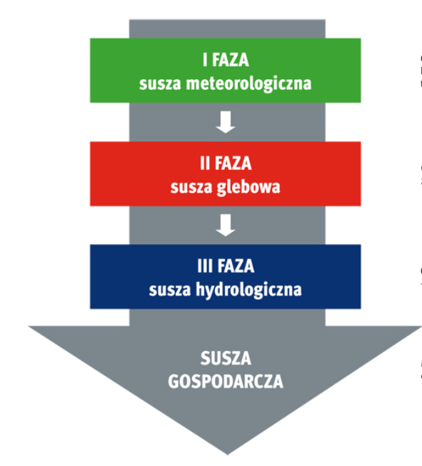 Etapu suszy - grafika