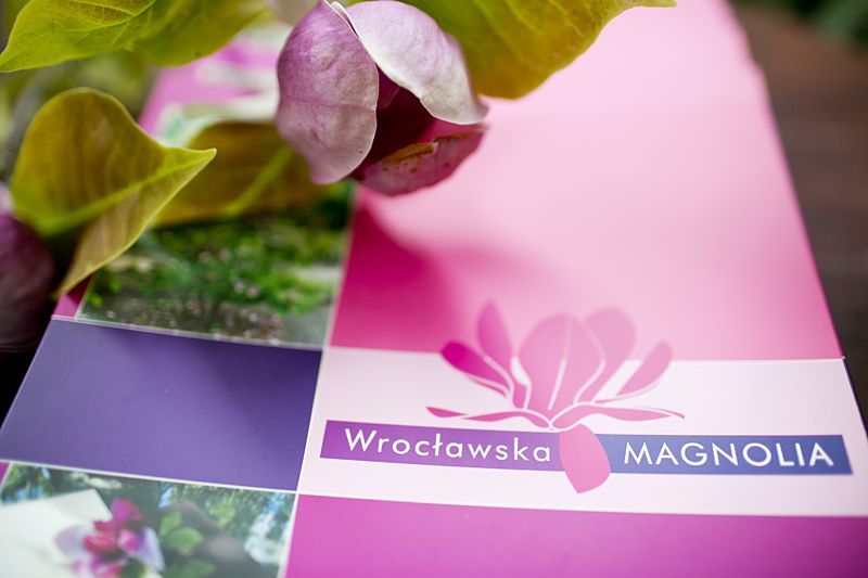 wroclawska-magnolia