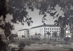 Monumentalne gmachy Politechniki Wrocławskiej przy pl. Grunwaldzkim (dziś D-1 i D-2), 1956. Archiwum Politechniki Wrocławskiej